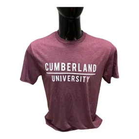Cumberland _ University District Tees