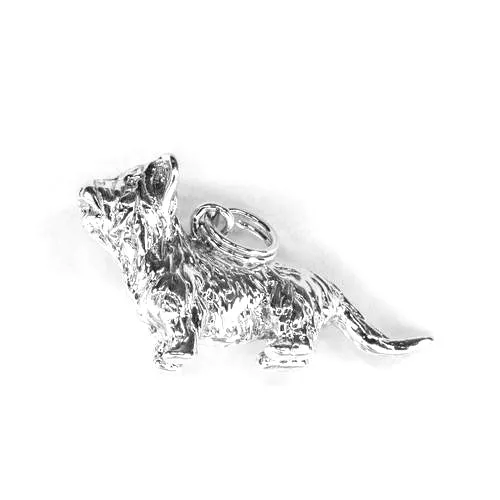 Dandie Dinmont